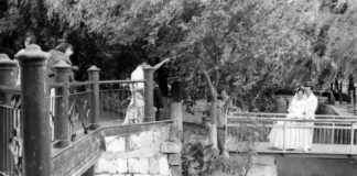 The Bride Price Paradox in Modern China: Interview with Shirley the-bride-price-paradox-in-modern-china-nterview-with-shirley