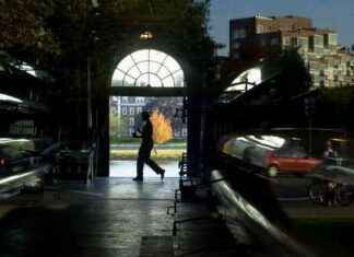 Common Mistakes to Avoid When Learning at Harvard common-mistakes-to-avoid-when-learning-at-harvard